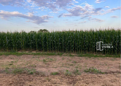 TERRAIN À SAINT-ANDRE-DE-CORCY