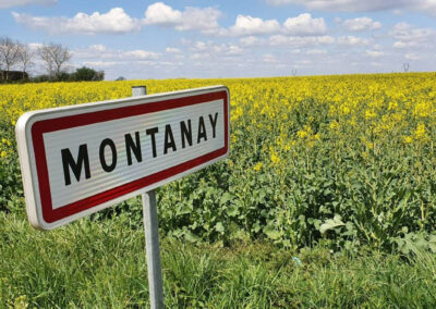 TERRAINS À MONTANAY