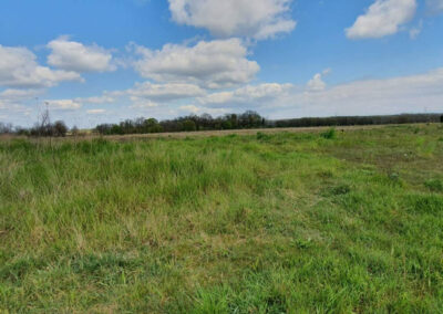 TERRAINS À MONTANAY