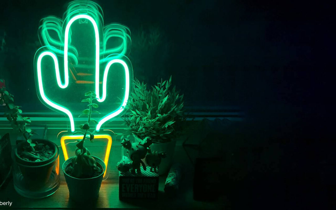 CONSEIL DÉCO #09 – LES NEONS